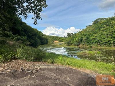 Terreno para Venda, em Nova Vencia, bairro Zona Rural (sada para Vila Pavo)