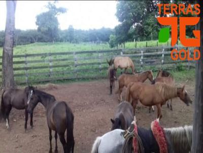 Fazenda para Venda, em Pocon, bairro Zona rural