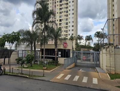 Apartamento para Locao, em Aparecida de Goinia, bairro Vila Cruzeiro do Sul, 2 dormitrios, 1 banheiro, 1 sute, 1 vaga