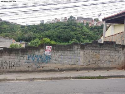 Terreno para Venda, em So Paulo, bairro Vila Bazu