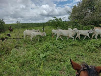 Fazenda para Venda, em Natal, bairro Potengi