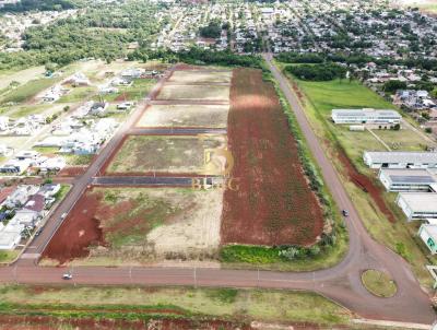 Terreno para Venda, em Santa Rosa, bairro Central