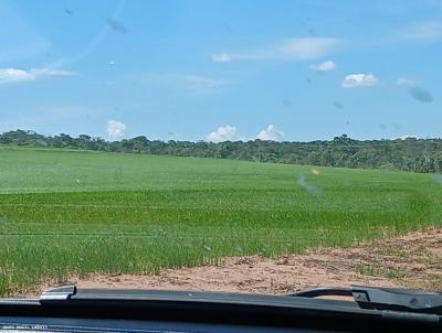 Terreno para Venda, em So Romo, bairro Regio Boa Vista das Palmas