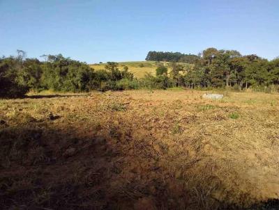 Chcara para Venda, em Guaxup, bairro Tomateiros