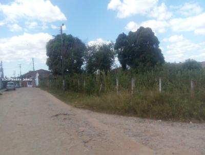 Terreno para Venda, em Maracana, bairro Pau-Serrado