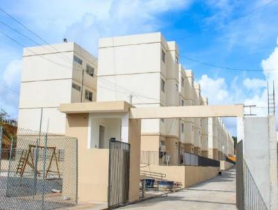 Apartamento para Venda, em So Loureno da Mata, bairro Rosina Labanca, 2 dormitrios, 1 banheiro, 1 vaga