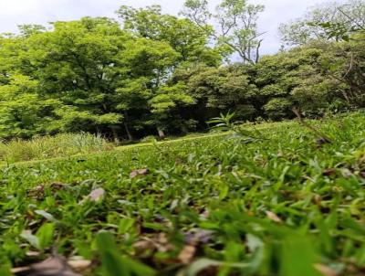 Chcara para Venda, em Caxias do Sul, bairro Forqueta