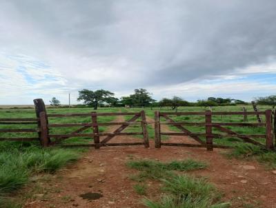 rea Rural para Venda, em Uruguaiana, bairro Plano Alto, 3 dormitrios, 2 banheiros, 1 sute, 2 vagas