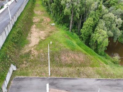 Terreno para Venda, em Contenda, bairro Ilha