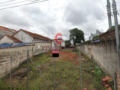 Terreno para Locao, em So Paulo, bairro Cidade Vargas