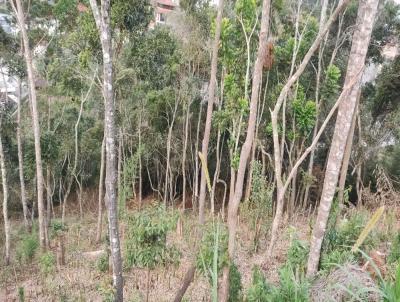 Terreno para Venda, em Terespolis, bairro Panorama