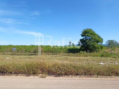 Chcara para Venda, em Osrio, bairro Capo da Areia