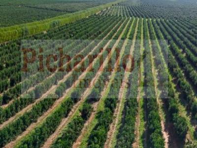 Fazenda para Venda, em Marlia, bairro Centro