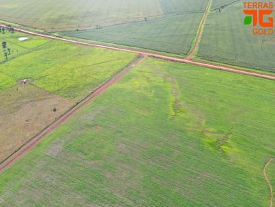 Fazenda para Venda, em Rondonpolis, bairro Zona rural