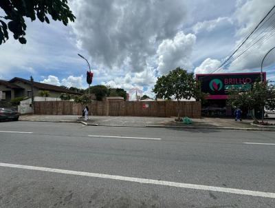 Terreno para Venda, em Araucria, bairro Centro