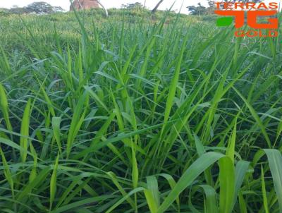 Fazenda para Venda, em Tesouro, bairro Zona rural