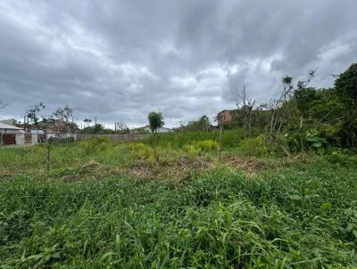 Terreno para Venda, em Itanham, bairro Gaivota