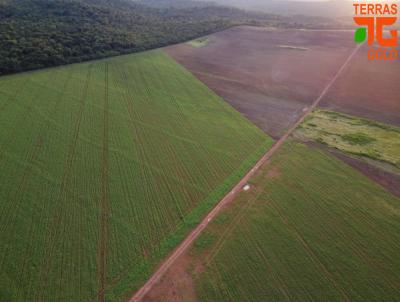 Fazenda para Venda, em Campinpolis, bairro Zona rural