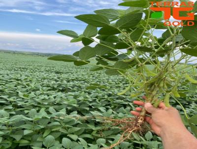 Fazenda para Venda, em Matup, bairro Zona rural