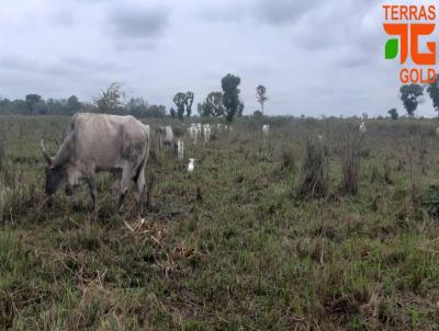 Fazenda para Venda, em Pocon, bairro Zona rural