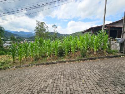 Terreno para Venda, em Trs Coroas, bairro Aguas Brancas