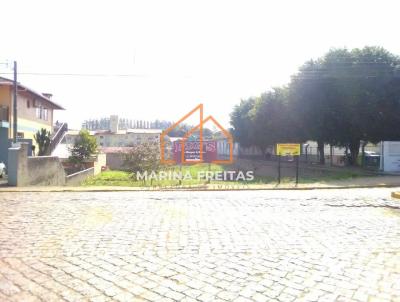 Terreno para Venda, em Presidente Getlio, bairro Pinheiro