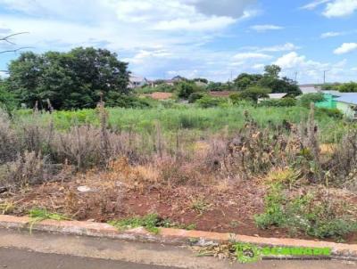 Terreno para Venda, em Sede Nova, bairro CENTRO