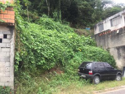 Terreno para Venda, em Ribeiro Pires, bairro Roncon