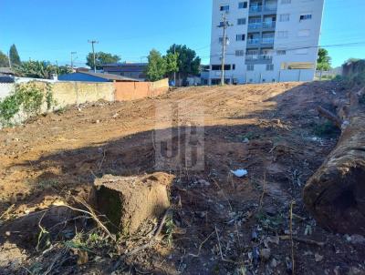 Terreno para Venda, em Viamo, bairro Cecilia