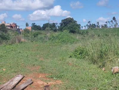 Casa para Venda, em Nova Esperana do Sul, bairro Jardim das Hortnsias