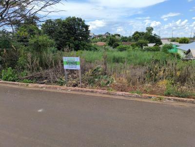 Terreno para Venda, em Sede Nova, bairro CENTRO