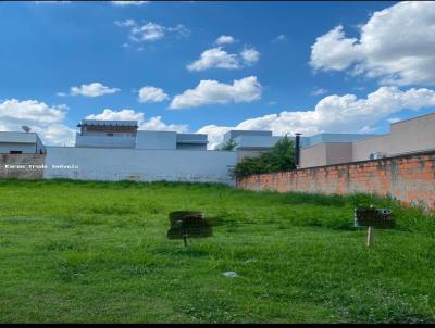 imagem-miniatura