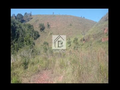 Terreno para Venda, em Cunha, bairro Bairro do Cedro