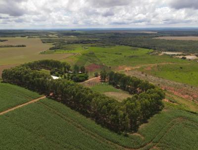 Fazenda para Venda, em Diamantino, bairro 