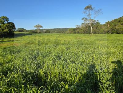 rea Rural para Venda, em So Francisco de Assis, bairro interior