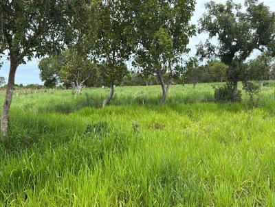 Fazenda para Venda, em Paran, bairro Zona Rural