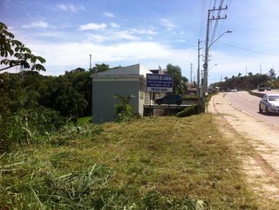 Terreno para Venda, em Florianpolis, bairro Ingleses do Rio Vermelho