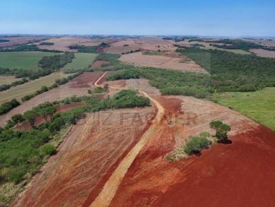 Chcara para Venda, em Sarandi, bairro Zona Rural