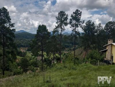 Terreno para Venda, em Terespolis, bairro Fazenda Suia