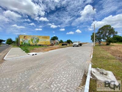 Terreno para Venda, em Osrio, bairro Panormico