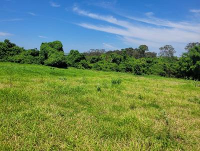 Stio para Venda, em Santa Rosa de Viterbo, bairro RURAL