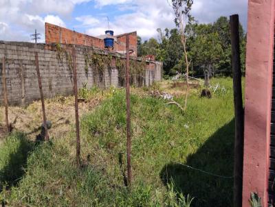 Terreno para Venda, em Itanham, bairro Jardim Fenix