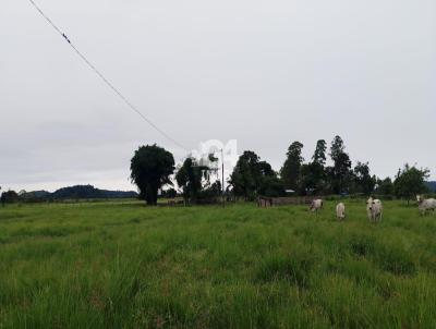 Stio para Venda, em Casimiro de Abreu, bairro Albuquerque