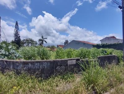 Terreno para Venda, em Perube, bairro Centro