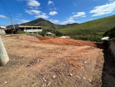 Lote para Venda, em Juiz de Fora, bairro Humaita