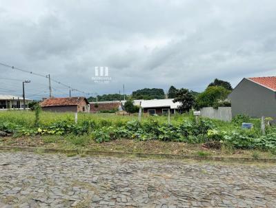 Terreno para Venda, em Irati, bairro Lagoa