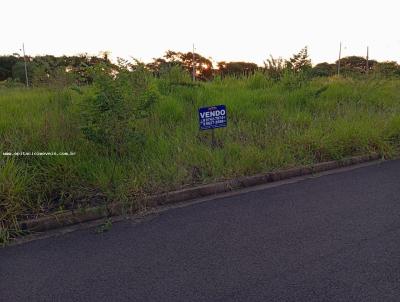 Terreno para Venda, em Presidente Epitcio, bairro Jardim Aeroporto