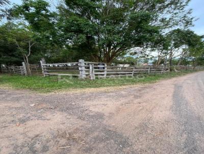 Chcara para Venda, em Araric, bairro Campo da Brazina