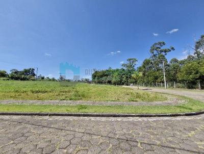 Lote para Venda, em Iara, bairro Centro