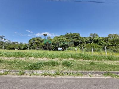 Lote para Venda, em Iara, bairro Centro